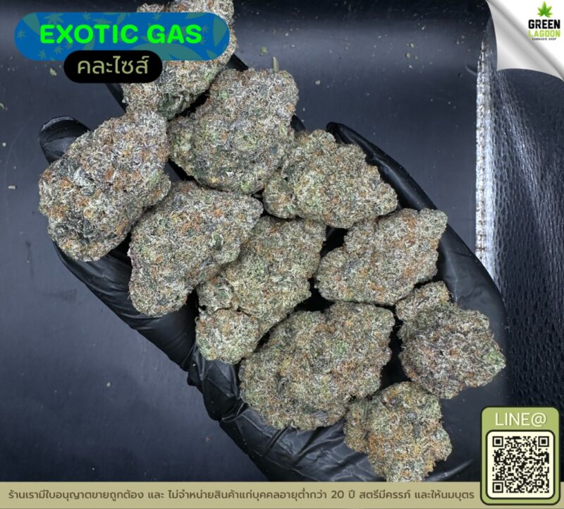 Exotic gas