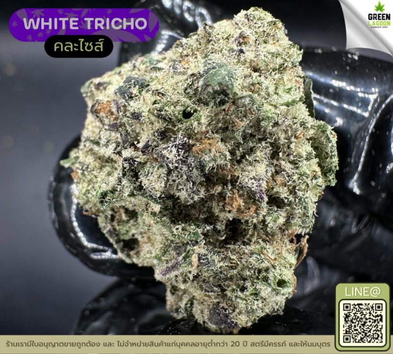 White tricho