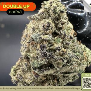 Double up