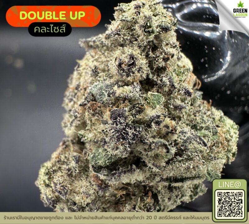 Double up