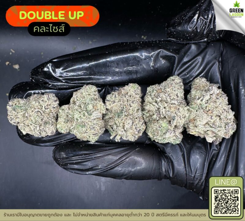 Double up