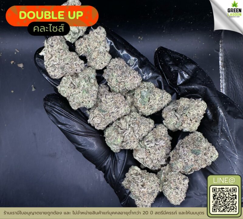 Double up