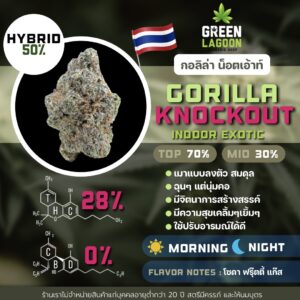 Gorilla knockout