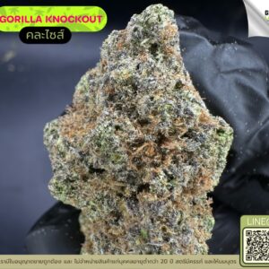 Gorilla knockout