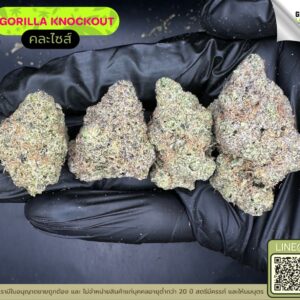 Gorilla knockout