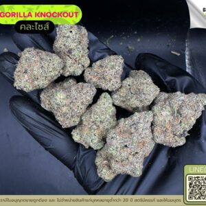 Gorilla knockout