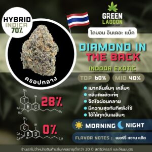 Diamond in the back