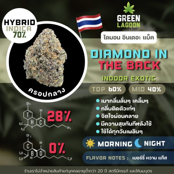Diamond in the back