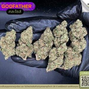 Godfather