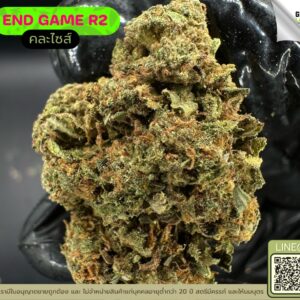 End game R2