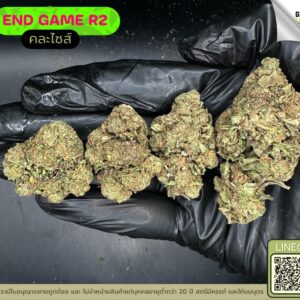 End game R2