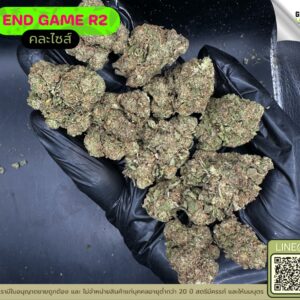 End game R2