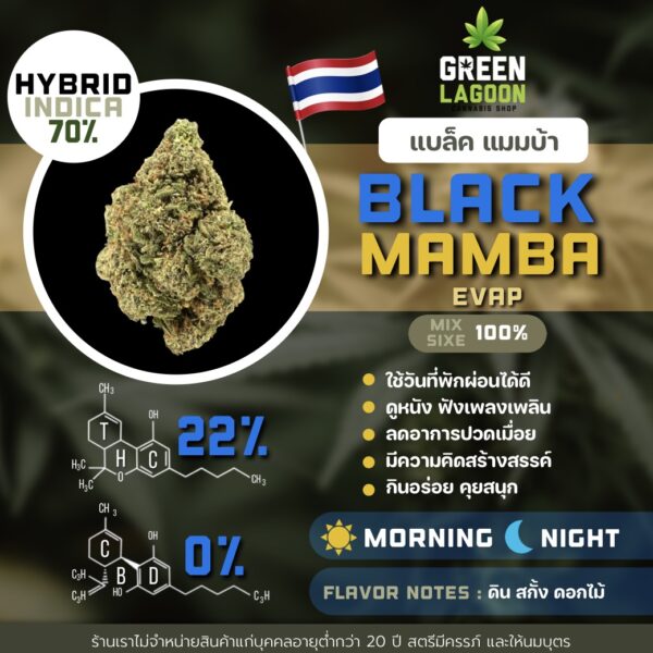Black mamba