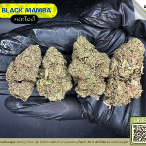 Black mamba