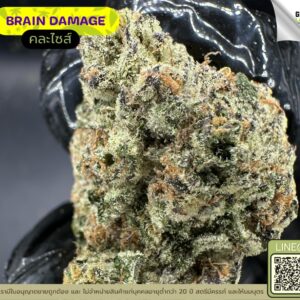 Brain damage