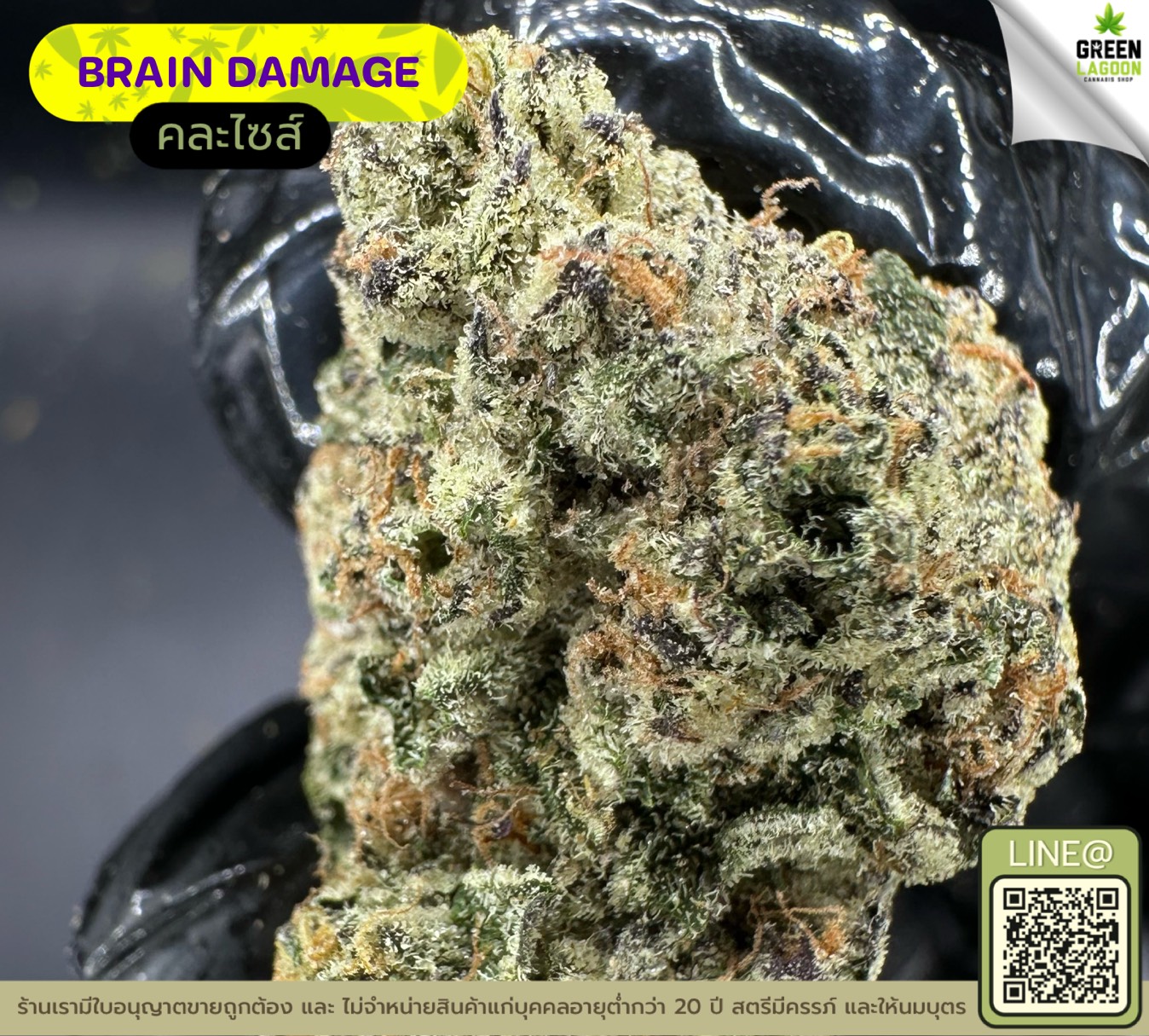 Brain damage