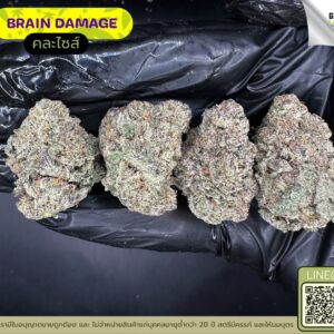 Brain damage