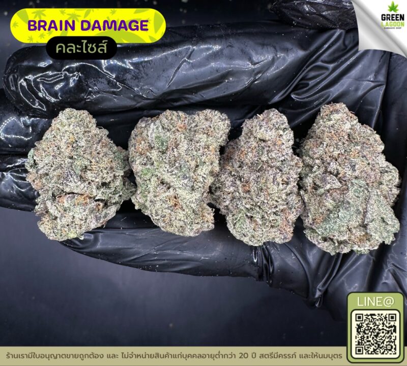 Brain damage