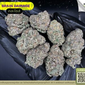 Brain damage