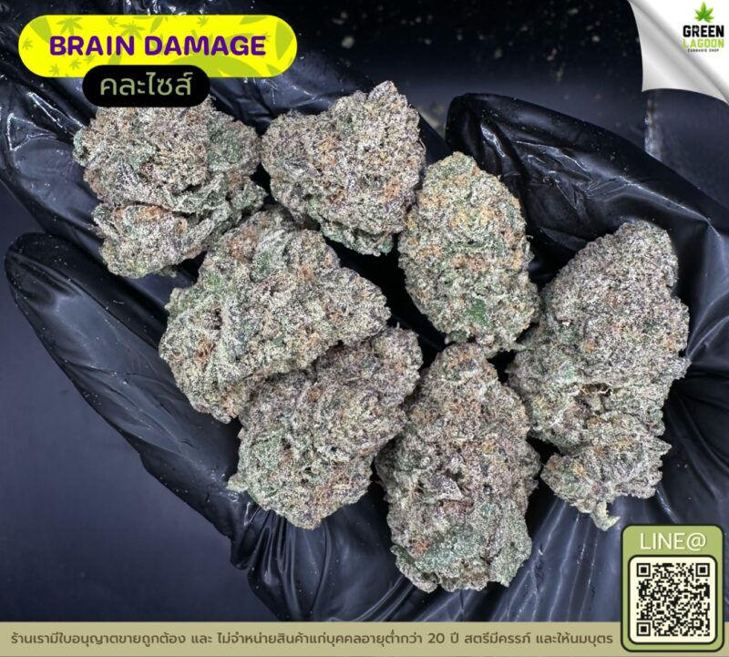 Brain damage