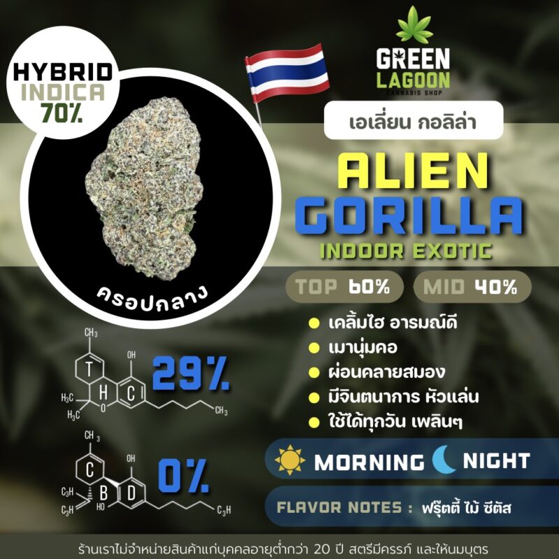 Alien gorilla