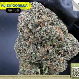 Alien gorilla