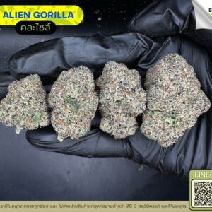 Alien gorilla