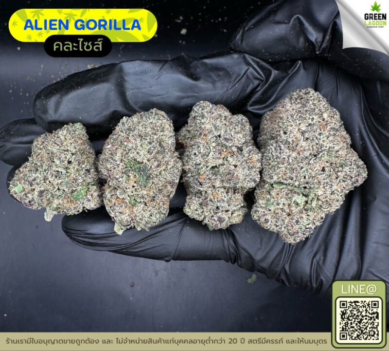 Alien gorilla