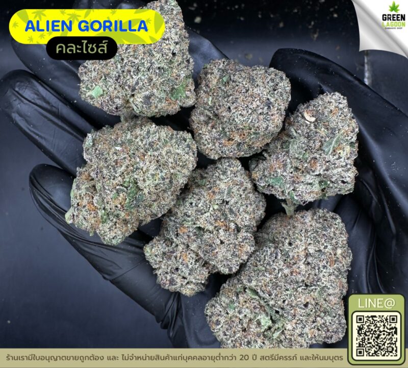 Alien gorilla