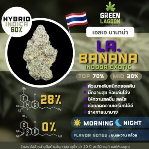 LA Banana