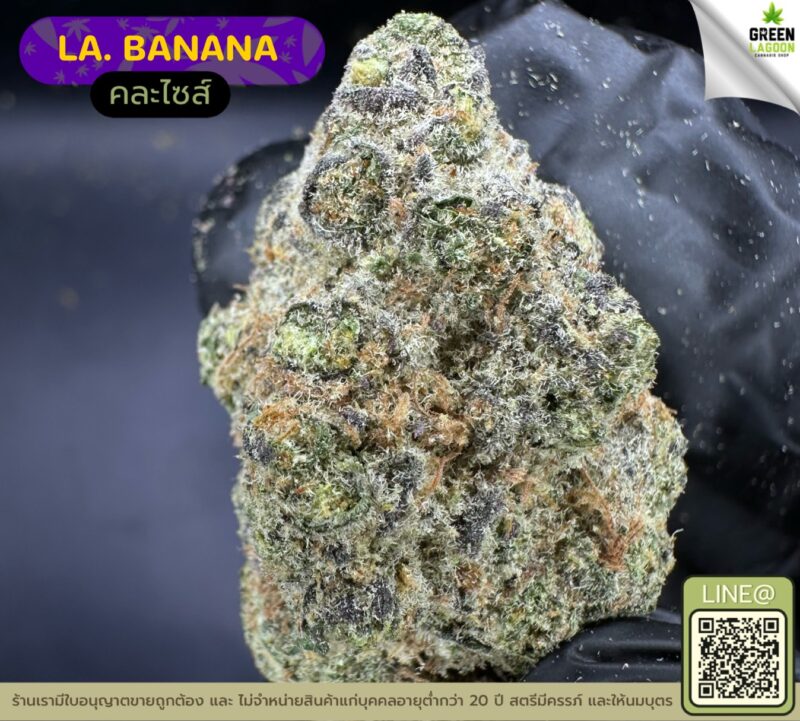 LA Banana