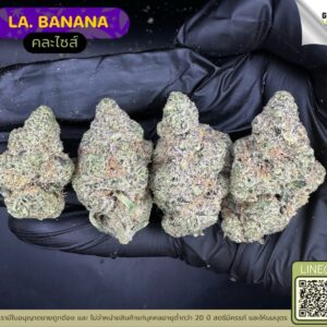 LA Banana