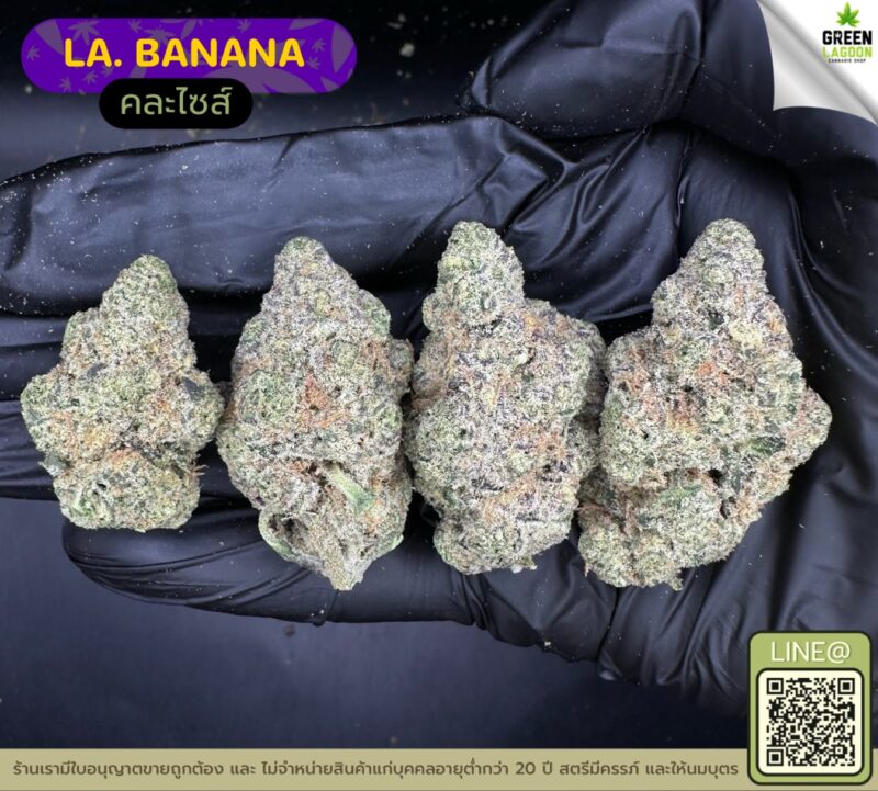 LA Banana