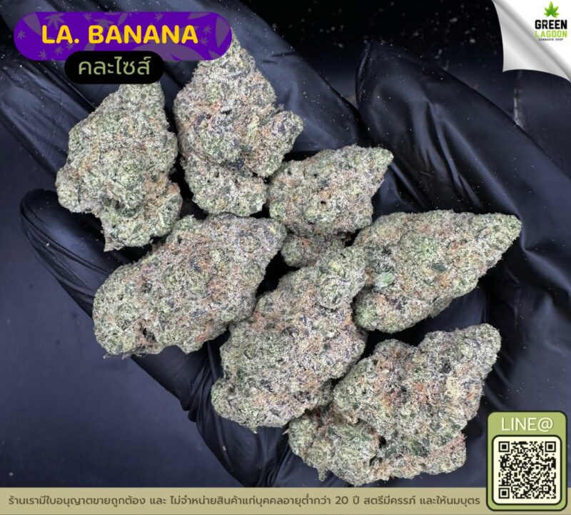 LA Banana