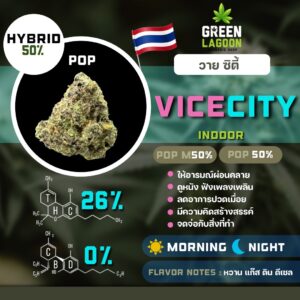Vice city