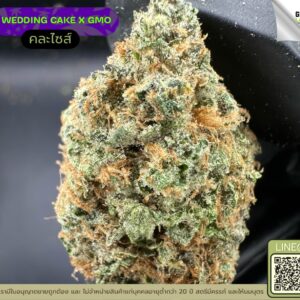 Wedding cake X GMO