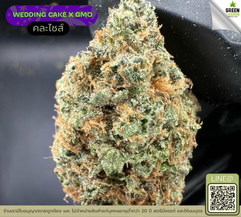 Wedding cake X GMO