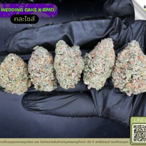 Wedding cake X GMO