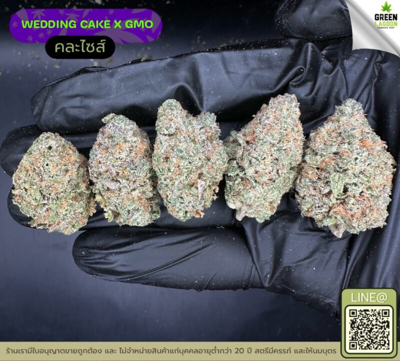 Wedding cake X GMO