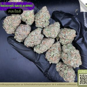 Wedding cake X GMO