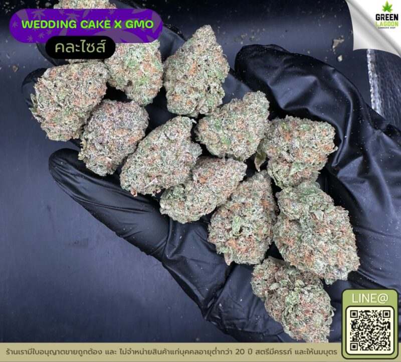 Wedding cake X GMO