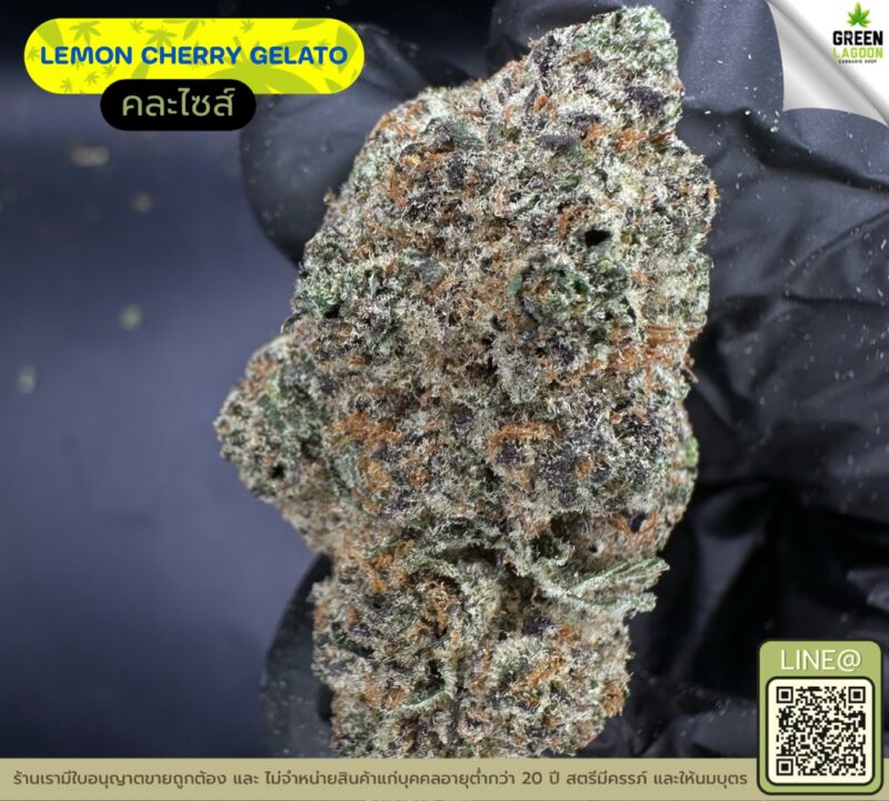Lemon cherry gelato