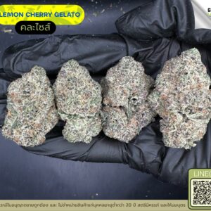 Lemon cherry gelato