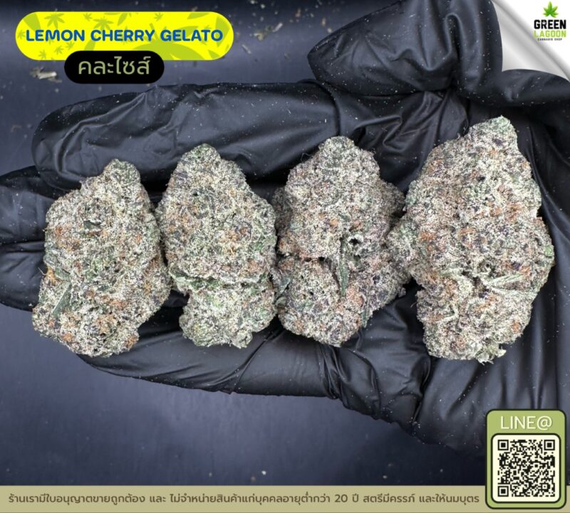 Lemon cherry gelato