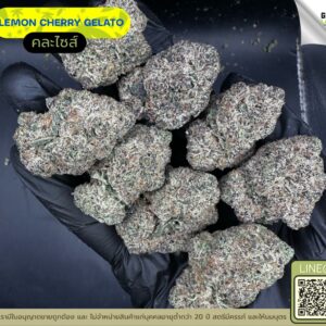 Lemon cherry gelato
