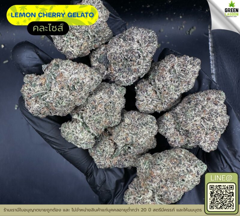 Lemon cherry gelato