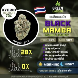 Black mamba