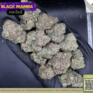 Black mamba