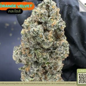 Orange velvet