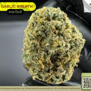 Garlic breath